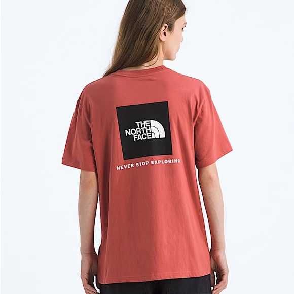 NWT The North Face Evolution Box NSE RelaxedShort-Sleeve Tee Mars Dust - Picture 4 of 8